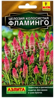 Целозия колосистая Фламинго