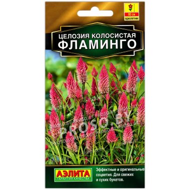 Целозия колосистая Фламинго
