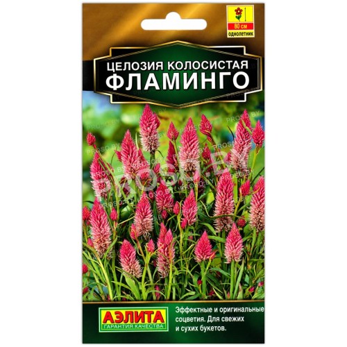 Целозия колосистая Фламинго