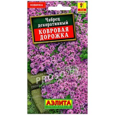 Чабрец декоративный Ковровая дорожка
