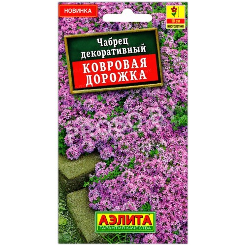 Чабрец декоративный Ковровая дорожка