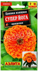 Цинния изящная Супер Йога оранжевая