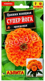 Цинния изящная Супер Йога оранжевая