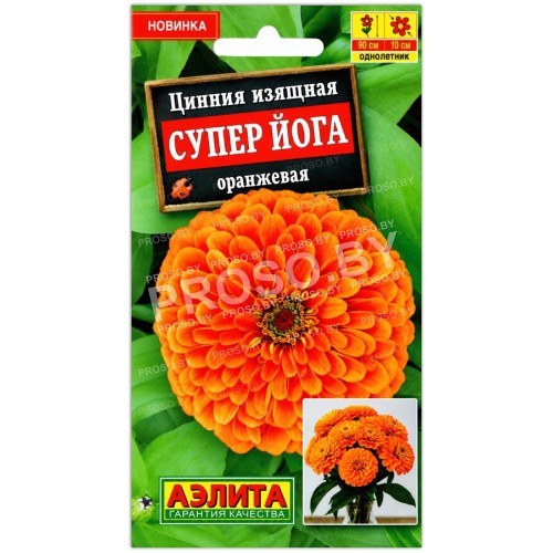 Цинния изящная Супер Йога оранжевая