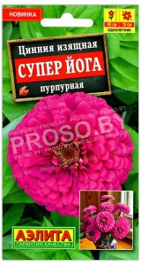 Цинния изящная Супер Йога пурпурная