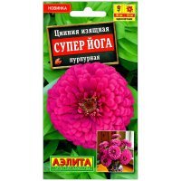 Цинния изящная Супер Йога пурпурная