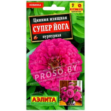 Цинния изящная Супер Йога пурпурная