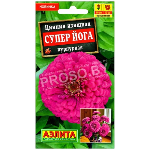 Цинния изящная Супер Йога пурпурная