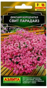 Диасция бородчатая Свит Парадайз