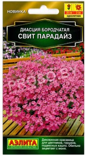 Диасция бородчатая Свит Парадайз