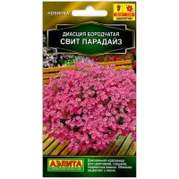 Диасция бородчатая Свит Парадайз