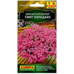 Диасция бородчатая Свит Парадайз