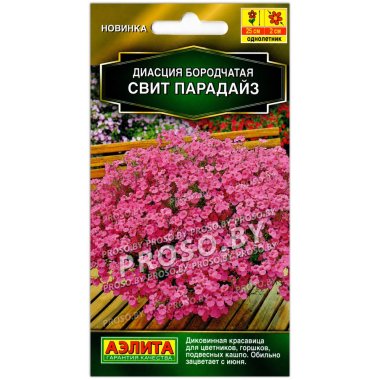 Диасция бородчатая Свит Парадайз