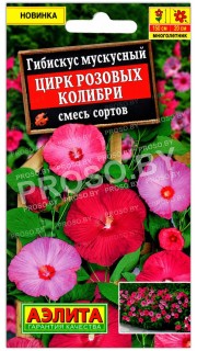 Гибискус мускусный Цирк розовых колибри, смесь