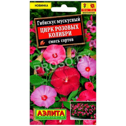 Гибискус мускусный Цирк розовых колибри, смесь