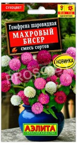 Гомфрена шаровидная Махровый бисер, смесь