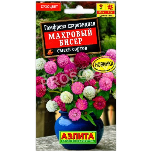 Гомфрена шаровидная Махровый бисер, смесь