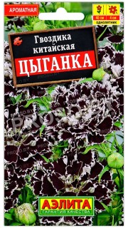 Гвоздика китайская Цыганка