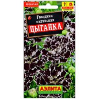 Гвоздика китайская Цыганка