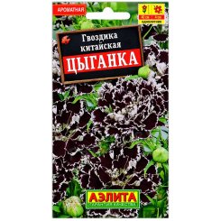 Гвоздика китайская Цыганка