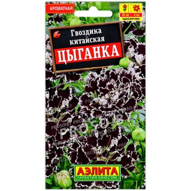 Гвоздика китайская Цыганка