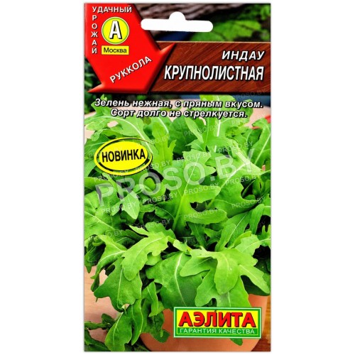 Индау крупнолистная