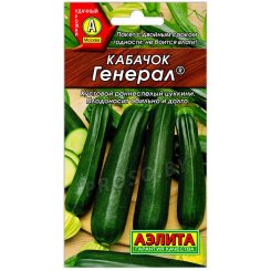 Кабачок Генерал