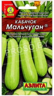 Кабачок Мальчуган