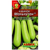 Кабачок Мальчуган