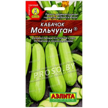 Кабачок Мальчуган