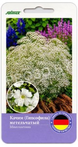 Качим (Гипсофила) метельчатый