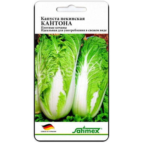 Капуста пекинская Кантона