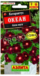 Катарантус Океан блэк мун