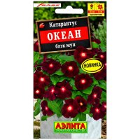 Катарантус Океан блэк мун