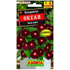 Катарантус Океан блэк мун