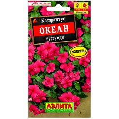 Катарантус Океан бургунди