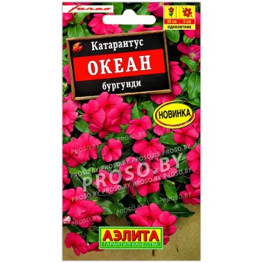 Катарантус Океан бургунди