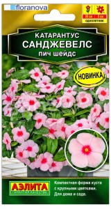 Катарантус Санджевелс пич шейдс