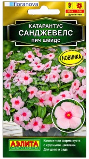 Катарантус Санджевелс пич шейдс