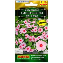 Катарантус Санджевелс пич шейдс
