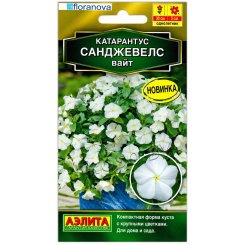 Катарантус Санджевелс вайт