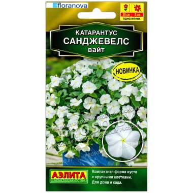 Катарантус Санджевелс вайт