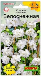 Кларкия изящная Белоснежная