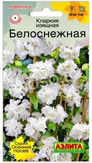 Кларкия изящная Белоснежная