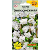 Кларкия изящная Белоснежная
