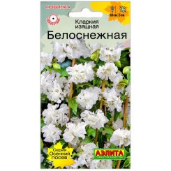 Кларкия изящная Белоснежная