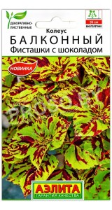 Колеус Балконный Фисташки с шоколадом
