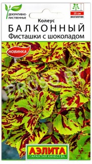 Колеус Балконный Фисташки с шоколадом