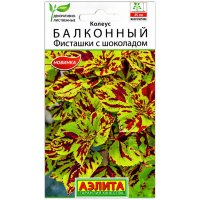 Колеус Балконный Фисташки с шоколадом