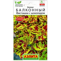 Колеус Балконный Фисташки с шоколадом